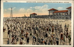 Bathing Scene, Jackson Park Municipal Bathing Beach Postcard