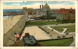 Marlborough-Blenheim Hotel and Boardwalk Postcard