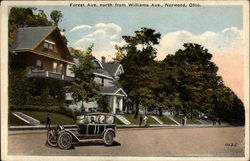 Forest Ave., north from Williams Ave Postcard