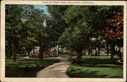 Scene in Bixby Park Postcard