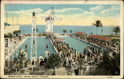 Roman Pools Miami Beach, FL Postcard Postcard