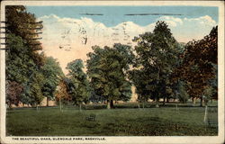 The Beautiful Oaks, Glendale Park Postcard