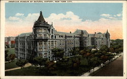 American Museum of Natural History New York, NY Postcard Postcard