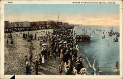 Wilson Avenue Bathing Beach Chicago, IL Postcard Postcard