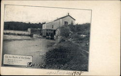 On the Banks of the Cedar Osage, IA Postcard Postcard