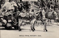 The Old West Still Lives, Orville Ewing Pritchett, CO Postcard Postcard