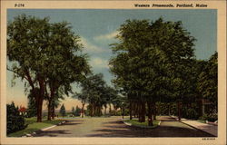 Western Promenade Postcard