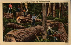 Timber Logging In The Pacific Northwest Postcard