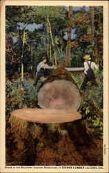 Scene in the Oklahoma Logging Operations of Dierks Lumber and Coal Co Postcard Postcard