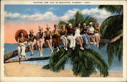 Waiting for You in Beautiful Florida Postcard Postcard