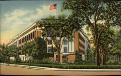 University of Michigan Museum Postcard