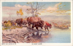 His Heart Sleeps Buffalo Postcard Postcard