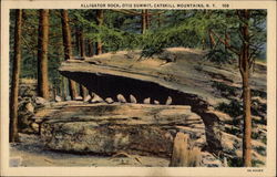 Alligator Rock, Otis Summit Postcard