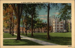 State Hospital and Grounds Postcard