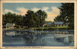 Scene in Chenago Valley State Park Postcard