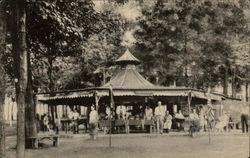 The Pagoda, Lily Dale Assembly New York Postcard Postcard