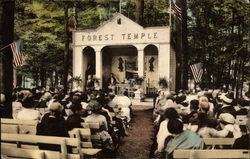 Forest Temple, Lily Dale Assembly New York Postcard Postcard