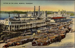 Cotton On The Levee Memphis, TN Postcard Postcard