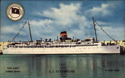 S.S. Evangeline of Eastern Shipping Corp Steamers Postcard Postcard