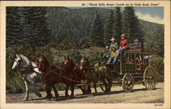 Black Hills Stage Coach as in Gold Rush Dayss Postcard