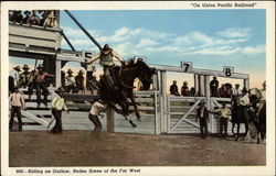 Riding an Outlaw, Rodeo Scene of the Far West Rodeos Postcard Postcard