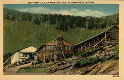 Camp Alice, on Mount Mitchell Postcard