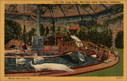 The Large Cage, Bird Park Postcard