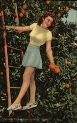 Orange Picking Time in Sunny Florida Fruit Postcard Postcard