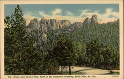 Scene From Grand View Point on Mt. Rushmore Highway Postcard