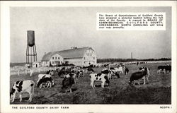 The Gilford County Dairy Farm Postcard