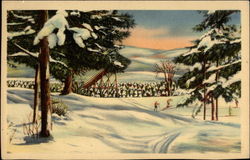 Winter Woods and Skiiers Skiing Postcard Postcard