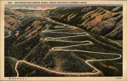 Whitebird Switchback Spiral Postcard