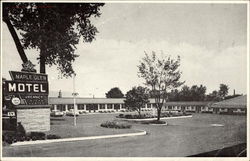 Maple Glen Motel Ontario, Canada Misc. Canada Postcard Postcard