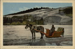 Sleigh Ride in the Bracing Winter Air Quebec Canada Postcard Postcard