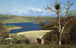 Don Pedro Dam Postcard