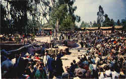 The Wagon Camp in Ghost Town, Knott's Berry Farm Buena Park, CA Postcard Postcard