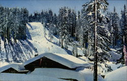 The Ski House at Badger Pass Yosemite National Park, CA Postcard Postcard