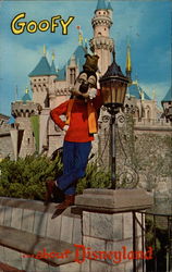 Goofy ...about Disneyland Postcard