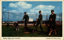 Sentry Dogs and Handlers - Lincoln Air Force Base Postcard