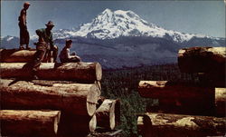 Northwest Havest of Logs Postcard