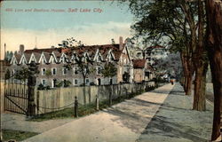 Lion and Beehive Houses Postcard