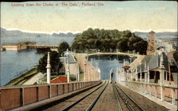 Looking Down the Chutes at "The Oaks" Postcard