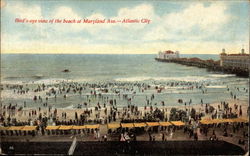 Bird's-eye view of the beach at Maryland Ave Postcard