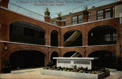 A Glimpse of the Roof Garden, Young Men's Christian Association Postcard