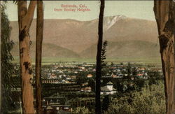 Redlands, California, from Smiley Heights Postcard Postcard