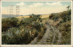 "Road Thru the Hills" Postcard