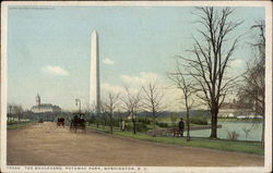 The Boulevard, Potomac Park Postcard