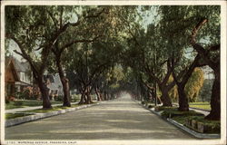 Marengo Avenue Postcard