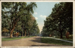 Main Street Elms Postcard