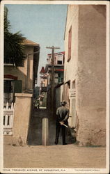 Treasury Avenue St. Augustine, FL Postcard Postcard